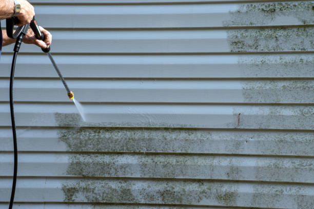 Best Estate Cleanout  in Orangeburg, NY